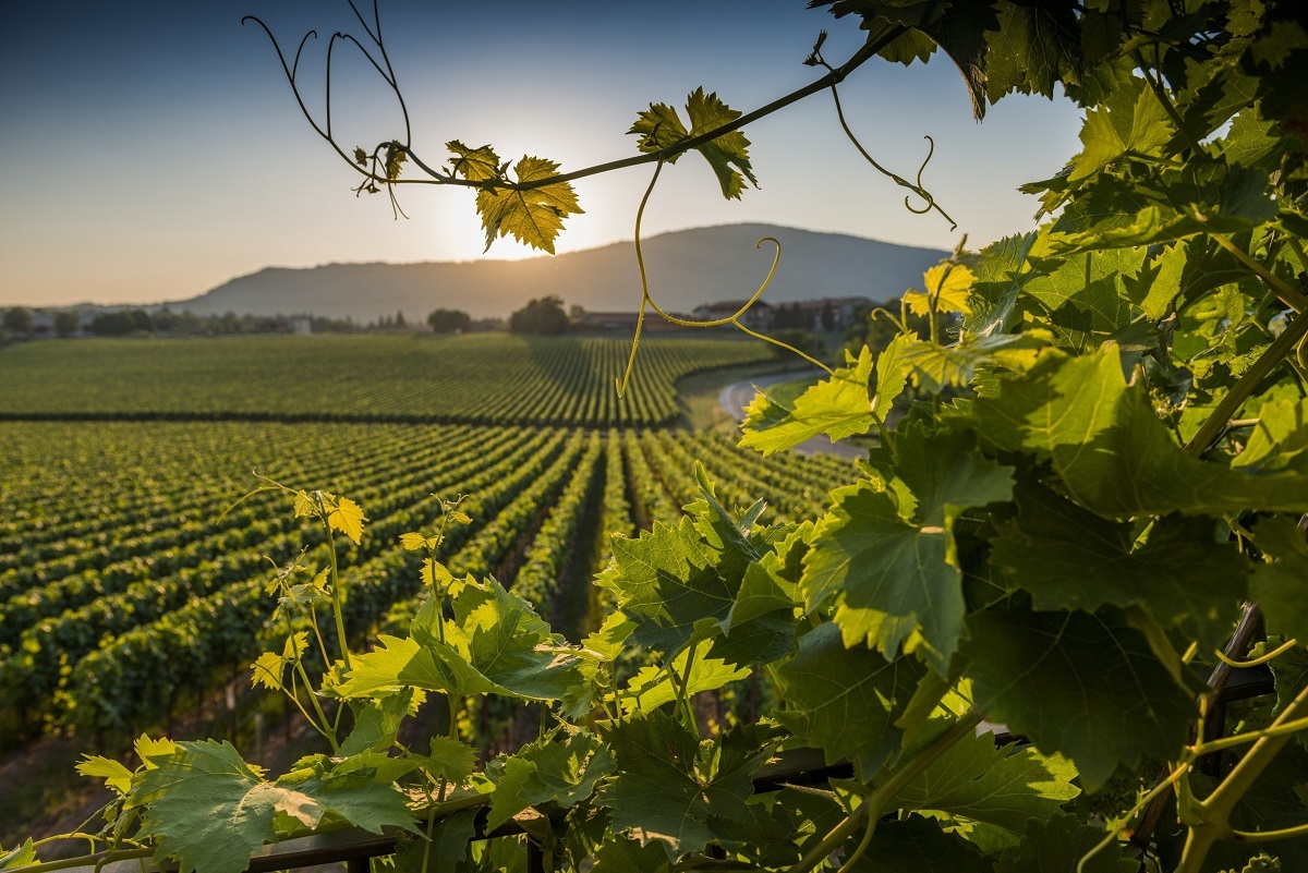 iseo-lake-franciacorta-wine.jpg